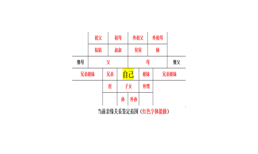 亲缘关系鉴定