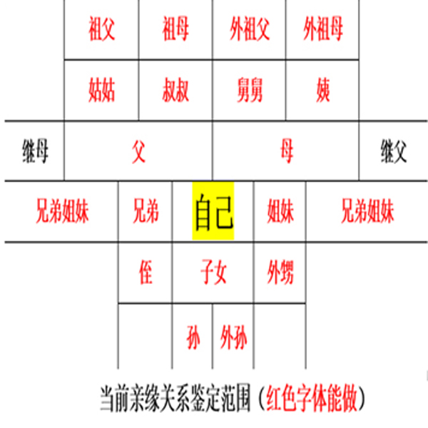 亲缘关系鉴定